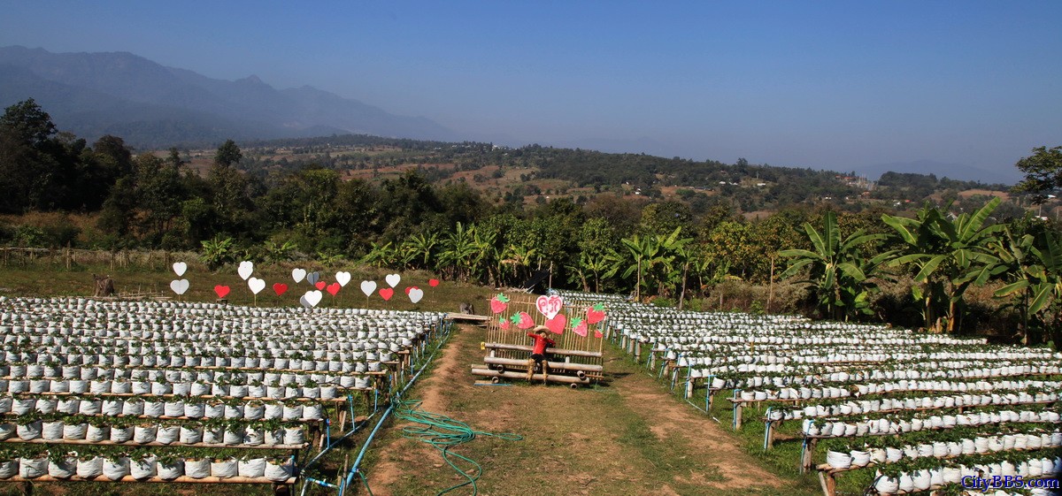 泰国北部清迈至Pai县自驾游 泰国北部清迈至Pai县自驾游