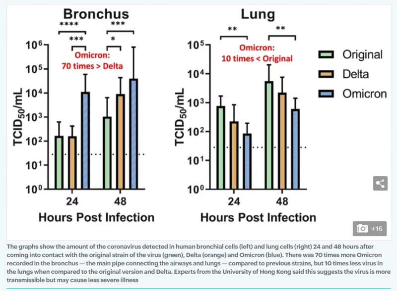 美国发布Omicron最严重警告:每周将死1.56万人