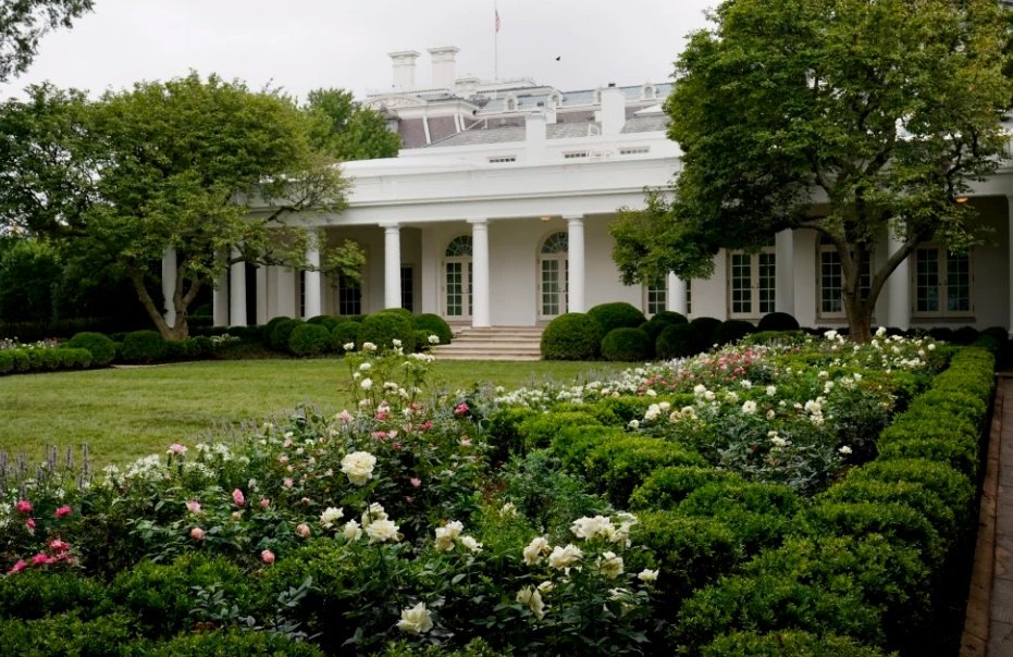白宫玫瑰园